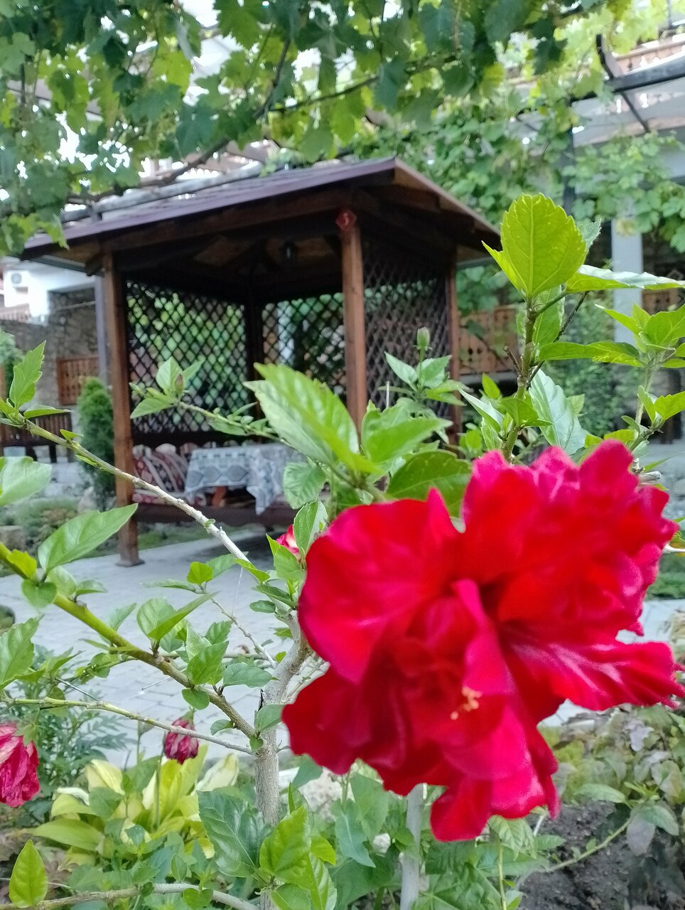 Гостевой дом Алие Бахчисарай-101